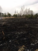 За минулу добу в області виникло 25 пожеж сухої трави, внаслідок чого вогнем пройдено 51 га території