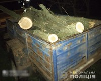 В Каховському районі поліцейські виявили лісового браконьєра