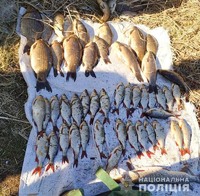 Поліцейські виявили жителя Черкаського району, який в період нерестової заборони займався виловом риби за допомогою сітки