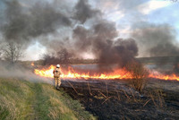 Широківський район: вогнеборці ліквідували пожежу в екосистемі на загальній площі 4 га