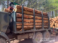 В Овруцькому районі поліцейські затримали вантажівку з нелегальним лісом