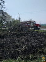 Гусятинщина: під час ліквідації пожежі сухої трави бійці ДСНС врятували від вогню житлову будівлю