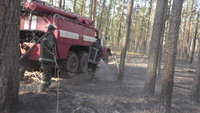 Оперативна інформація щодо ліквідації лісових пожеж 