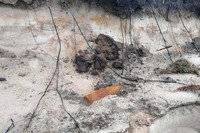 Ріпкинський район: піротехніки ДСНС знищили артилерійський снаряд