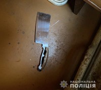 Поліцейські Києво-Святошинського району затримали чоловіка, який позбавив життя свою матір