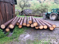 Поліцейські викрили зловмисника, причетного до незаконної порубки дерев на Сколівщині