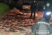 Поліцейські Чигиринщини затримали зловмисника, який виловив сітками понад 200 рибин різних видів