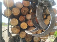 У Буському районі поліцейські вилучили незаконно зрубану деревину
