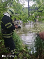 Фастівський район: рятувальники витягли з води потопельника