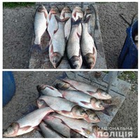 Поліцейські викрили факт крадіжки риби зі ставка у Верхньорогачицькому районі