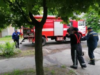 Бородянський район: рятувальники надали допомогу в діставанні кота з дерева