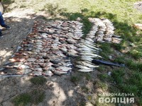 На Київщині поліція виявила браконьєрів, які завдали збитків на понад 132 тисячі гривень