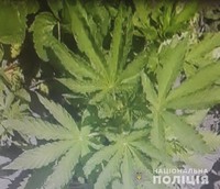 На Полтавщині поліцейські виявили наркотики у жителя Лохвицького району