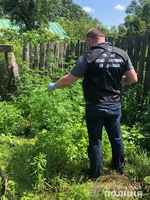 У Жовківському районі поліцейські вилучили сто рослин коноплі та більше кілограма речовини, схожої на «канабіс»