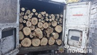 У Солонянському районі поліцейські затримали двох чоловіків за незаконну вирубку дерев