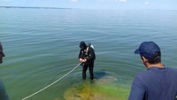Світловодський район: водолази У ДСНС в області дістали тіло рибалки з Кременчуцького водосховища