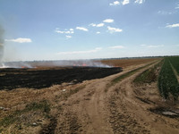 Миколаївська область: у Вітовському районі одночасно виникло 4 пожежі на відкритих територіях