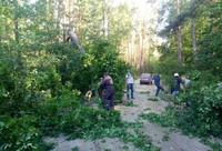 Баранівський район: рятувальники звільнили автомобільну дорогу, яку повністю перекрило зламане дерево