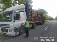 У Радомишлі поліція розслідує крадіжку лісоматеріалу