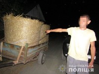 На Житомирщині поліція встановила підозрюваних у вчиненні крадіжок