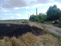 Попільнянський район: за минулу добу рятувальники ліквідували загоряння зернових посівів на площі 4 гектари та 2,5т соломи