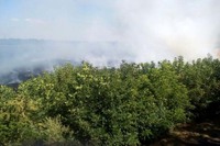 Синельниківський район: вогнеборці ліквідували дві масштабні пожежі в екосистемах 