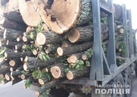 В Ємільчинському районі поліція перевіряє походження вилученої деревини