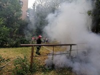 На Кіровоградщині минулої доби рятувальниками ліквідовано 7 пожеж у екосистемах
