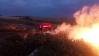 Випалюючи суху траву, громадяни спричинили 27 пожеж у природних екосистемах