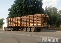 Радомишльські поліцейські затримали вантажівку з нелегальним лісом