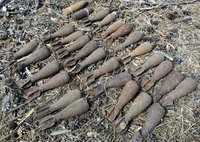 Сумська область: за минулу добу знешкоджено 29 боєприпасів часів минулих війн, ще 28 - виявлено