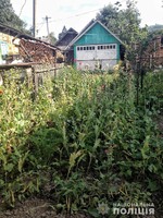 Поліція викрила жителя Путили, який незаконно вирощував нарковмісні рослини