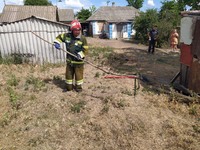 Новоукраїнський район: рятувальники вилучили плазуна з приватного домоволодіння