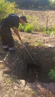 Маньківський район: рятувальники звільнили тварину з пастки