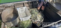 Водна поліція Київщини виявила браконьєрів, які нанесли збитків державі на суму понад  500 тисяч гривень