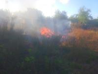 Бородянський район: ліквідовано загорання трав’яного настилу