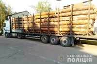 Поліцейські затримали дві вантажівки з нелегальним лісом у північних районах області
