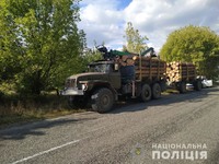 Минулої доби у чотирьох районах Житомирщини поліція викрила оборудки з нелегальним лісом