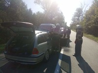 Іванківський район: внаслідок дорожньо-транспортної пригоди з твариною загинула людина