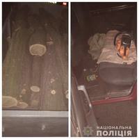 За добу поліцейські Верхньорогачицького району виявили три факти незаконної порубки дерев
