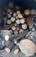 За добу у двох районах Житомирщини поліцейські викрили незаконні оборудки з лісом
