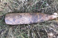 Семенівський район: снаряд, на який натрапили грибники знешкодили сапери ДСНС