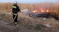 Таращанський район: ліквідовано загоряння кукурудзяного поля