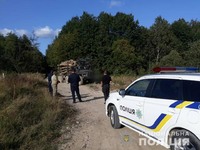 Поліцейські викрили незаконну порубку лісу на Прикарпатті