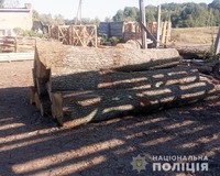 Ємільчинські поліцейські виявили нелегальну деревину на пилорамі