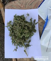 Під час обшуку будинку мешканця Мукачівщини поліція вилучила майже кілограм наркотиків рослинного походження