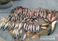 У Кобеляцькому районі поліція викрила браконьєрів, які виловили майже 70 кілограмів риби