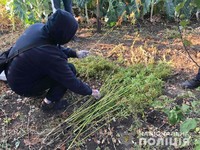 Поліцейські вилучили нарковрожай у жителя Харківщини