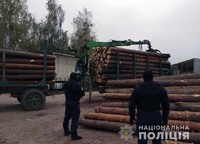 Поліцейські виявили нелегальну лісопродукцію у двох районах Житомирщини