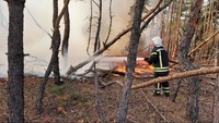 Оперативна інформація щодо ліквідації надзвичайної ситуації, пов'язаної з лісовими пожежами на території Луганської області, станом на 7:00 8 жовтня